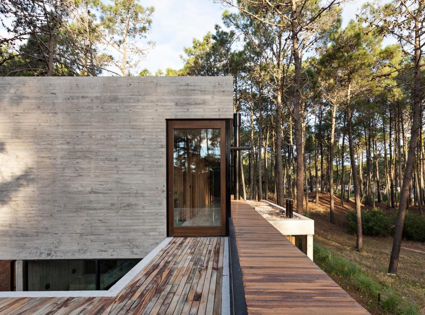 An Elegant Concrete and Glass House in the Forest of Pinamar, Argentina by ATV arquitectos (2)