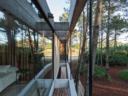 An Elegant Concrete and Glass House in the Forest of Pinamar, Argentina by ATV arquitectos (3)