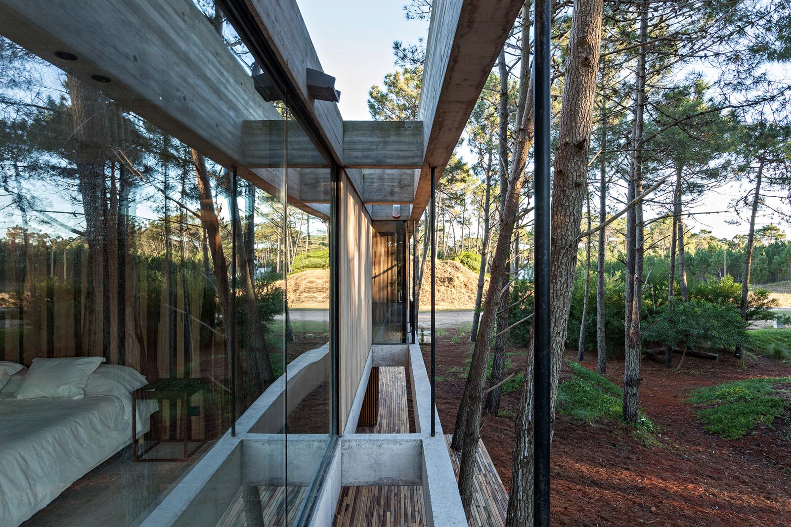 An Elegant Concrete and Glass House in the Forest of Pinamar, Argentina by ATV arquitectos (3)