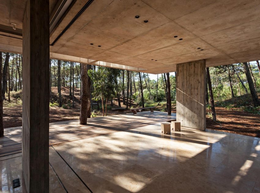 An Elegant Concrete and Glass House in the Forest of Pinamar, Argentina by ATV arquitectos (4)