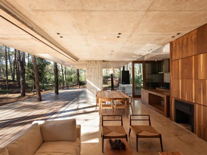 An Elegant Concrete and Glass House in the Forest of Pinamar, Argentina by ATV arquitectos (5)