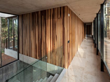 An Elegant Concrete and Glass House in the Forest of Pinamar, Argentina by ATV arquitectos (7)