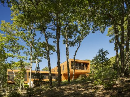 An Elegant Contemporary Home in the Woods for a Young Family of Five in Southampton by Rangr Studio (2)