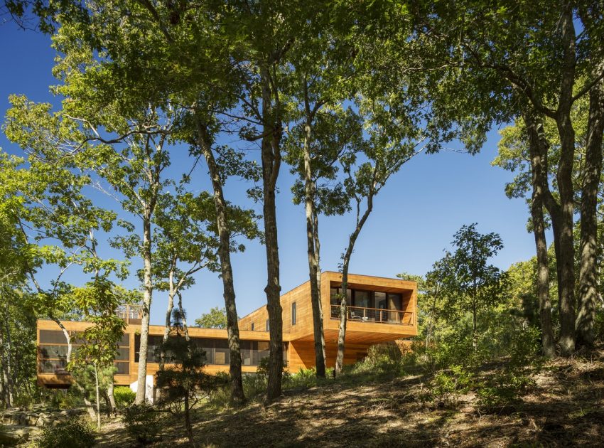 An Elegant Contemporary Home in the Woods for a Young Family of Five in Southampton by Rangr Studio (2)