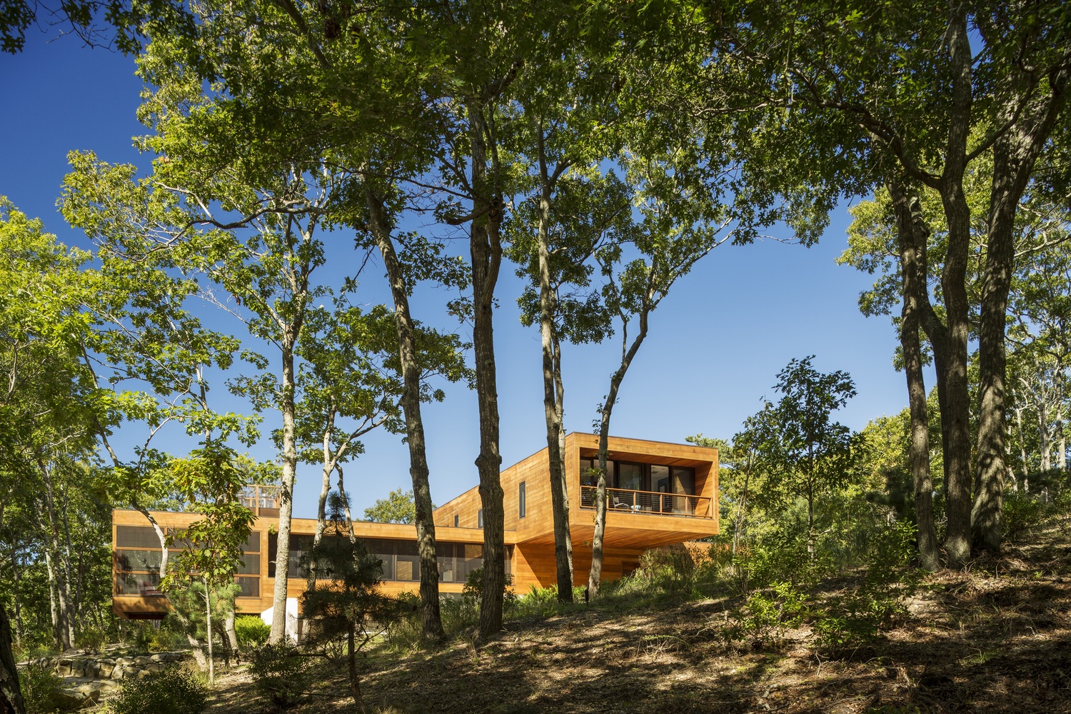 An Elegant Contemporary Home in the Woods for a Young Family of Five in Southampton by Rangr Studio (2)