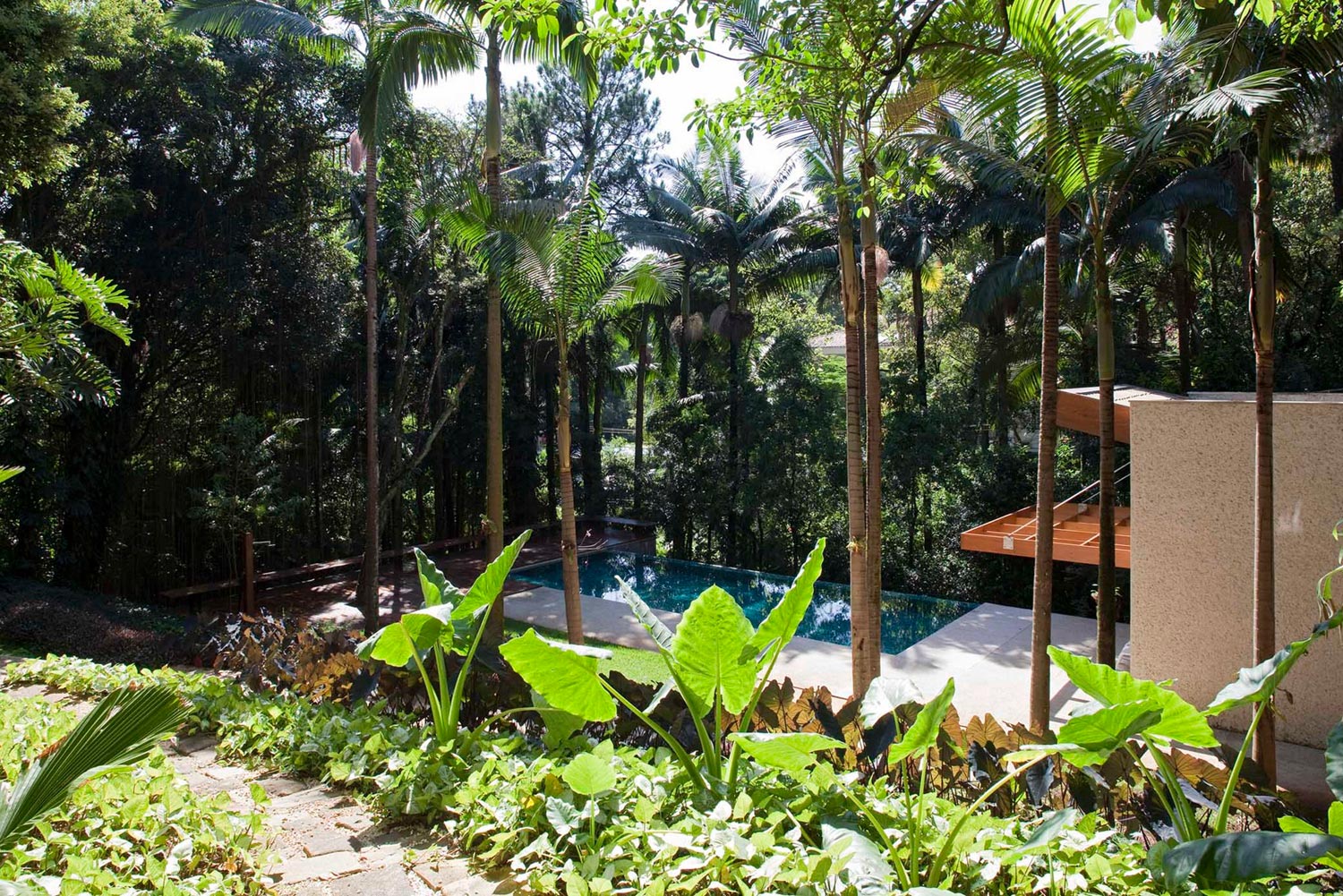 An Elegant House with Swimming Pool Surrounded by Dense Vegetation in São Paulo by Vasco Lopes Arquitetura (3)