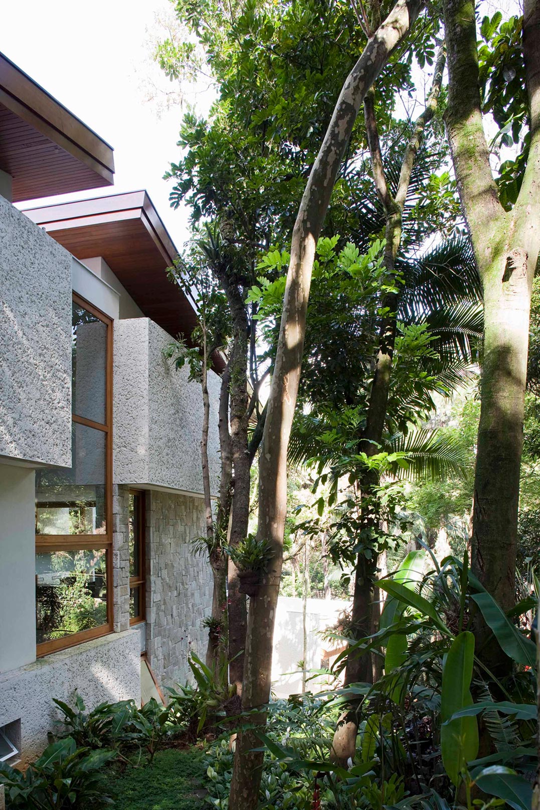 An Elegant House with Swimming Pool Surrounded by Dense Vegetation in São Paulo by Vasco Lopes Arquitetura (5)
