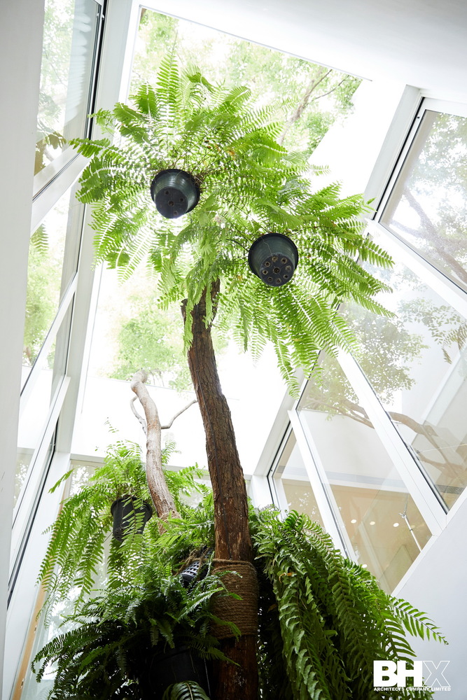 A Bright Contemporary Home for an Avid Car Collector in Bangkok by BROWNHOUSES Company Limited (17)