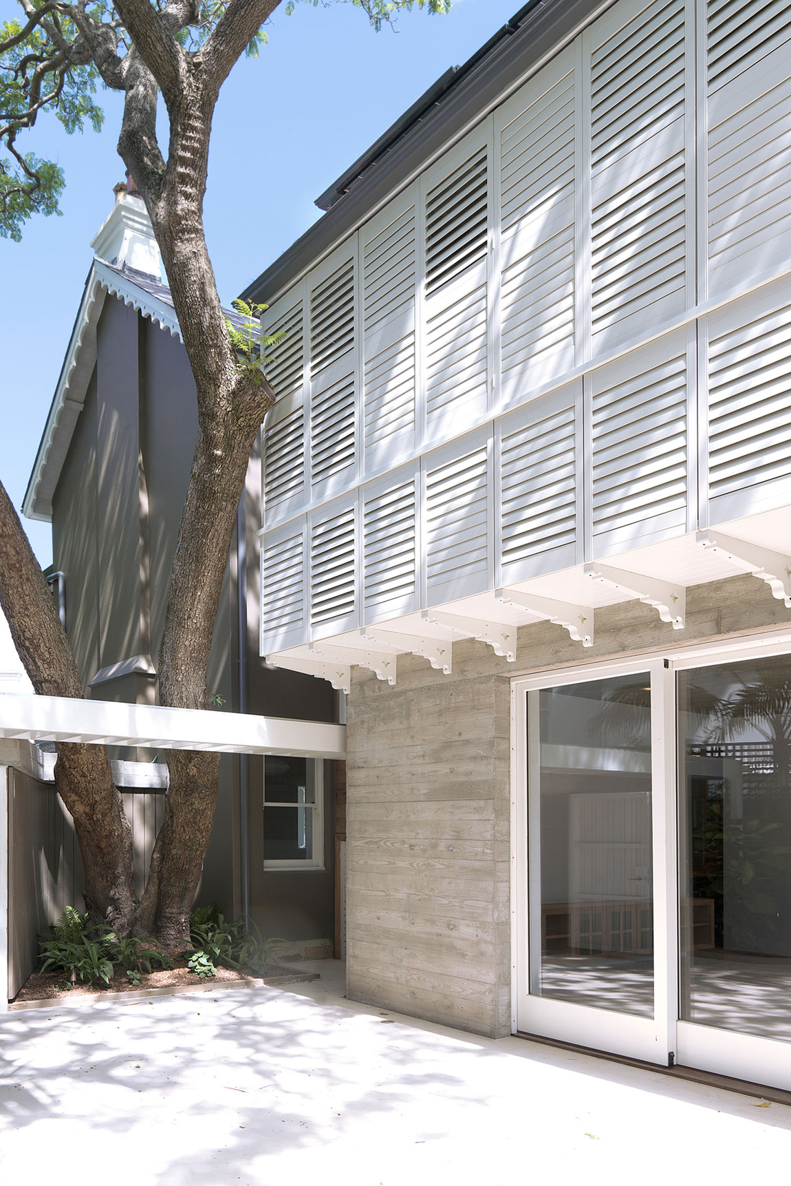 A Charming Contemporary Home with Lush Garden and Pool in Paddington by Luigi Rosselli (4)