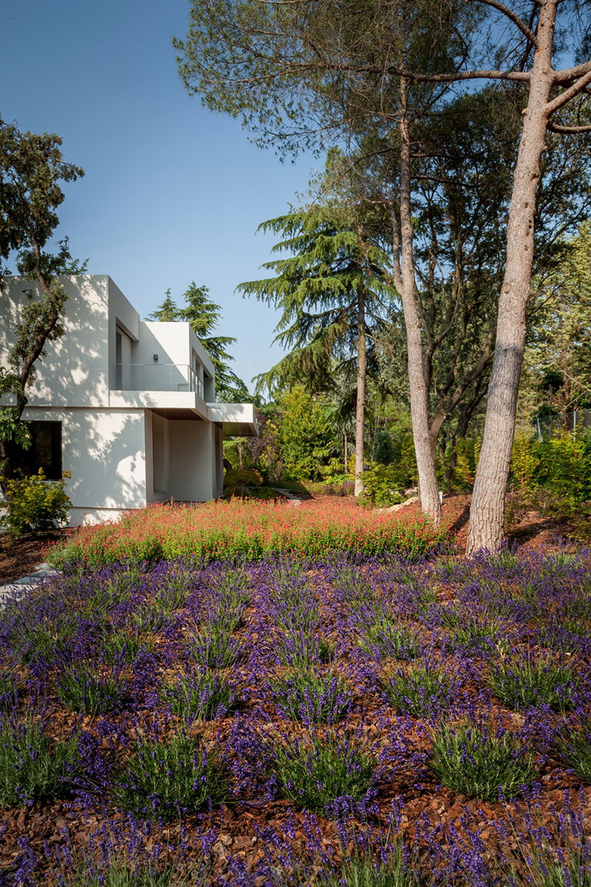 A Charming Modern Home Nestled in a Lush Landscape of Madrid, Spain by ÁBATON Arquitectura (3)