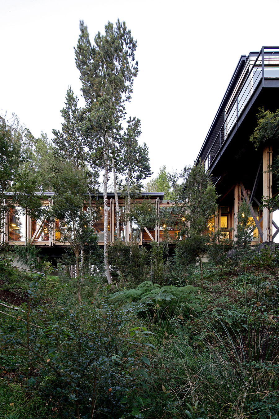A Dramatic and Rustic Modern Home Shielded by Beautiful Forest in Puerto Varas by Aranguiz-Bunster Arquitectos (17)