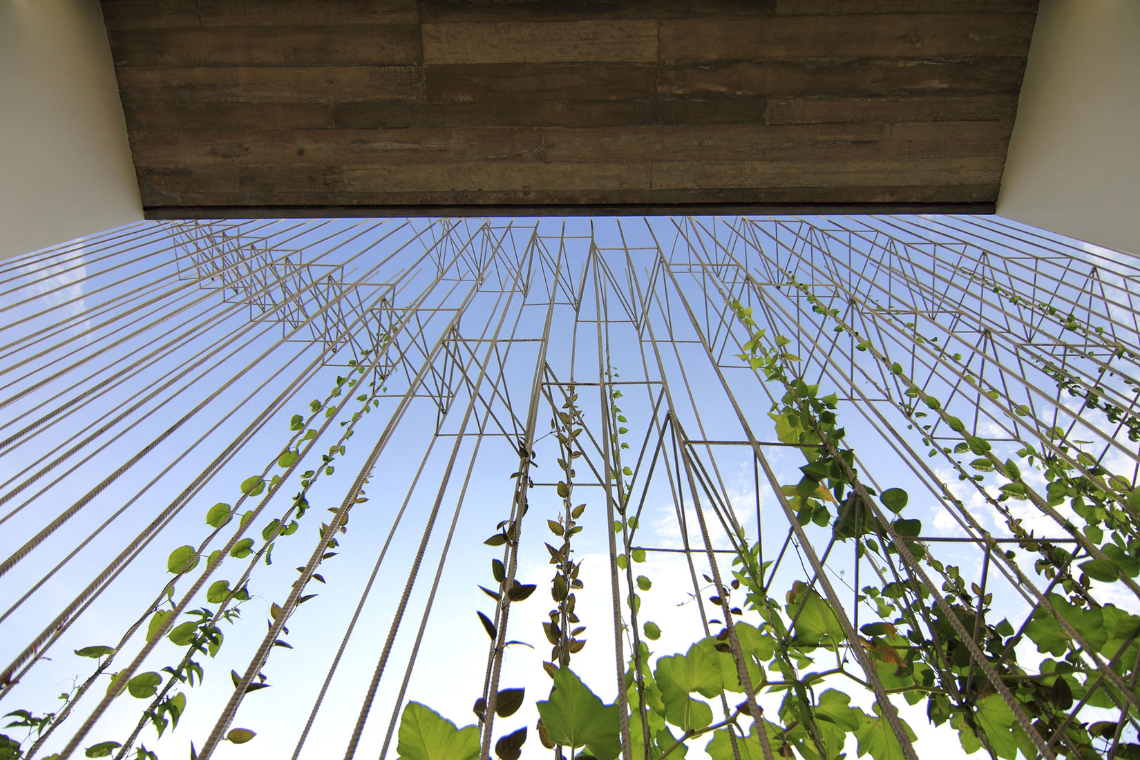 A Simple Country House with Natural Light and Wooden Furniture in Nghe An by Wangstudio (2)