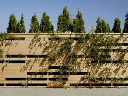 A Simple, Light-Filled Contemporary Home Perched on a Steeply Sloping Hillside in Sausalito by Turnbull Griffin Haesloop Architects (3)