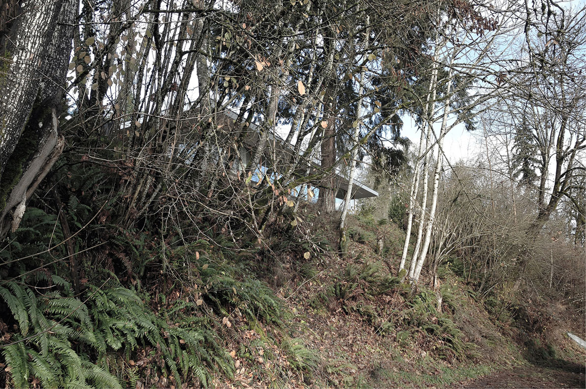 A Small Modern Hillside Home with Interior Courtyards and Gardens in Aurora by NO ARCHITECTURE (2)