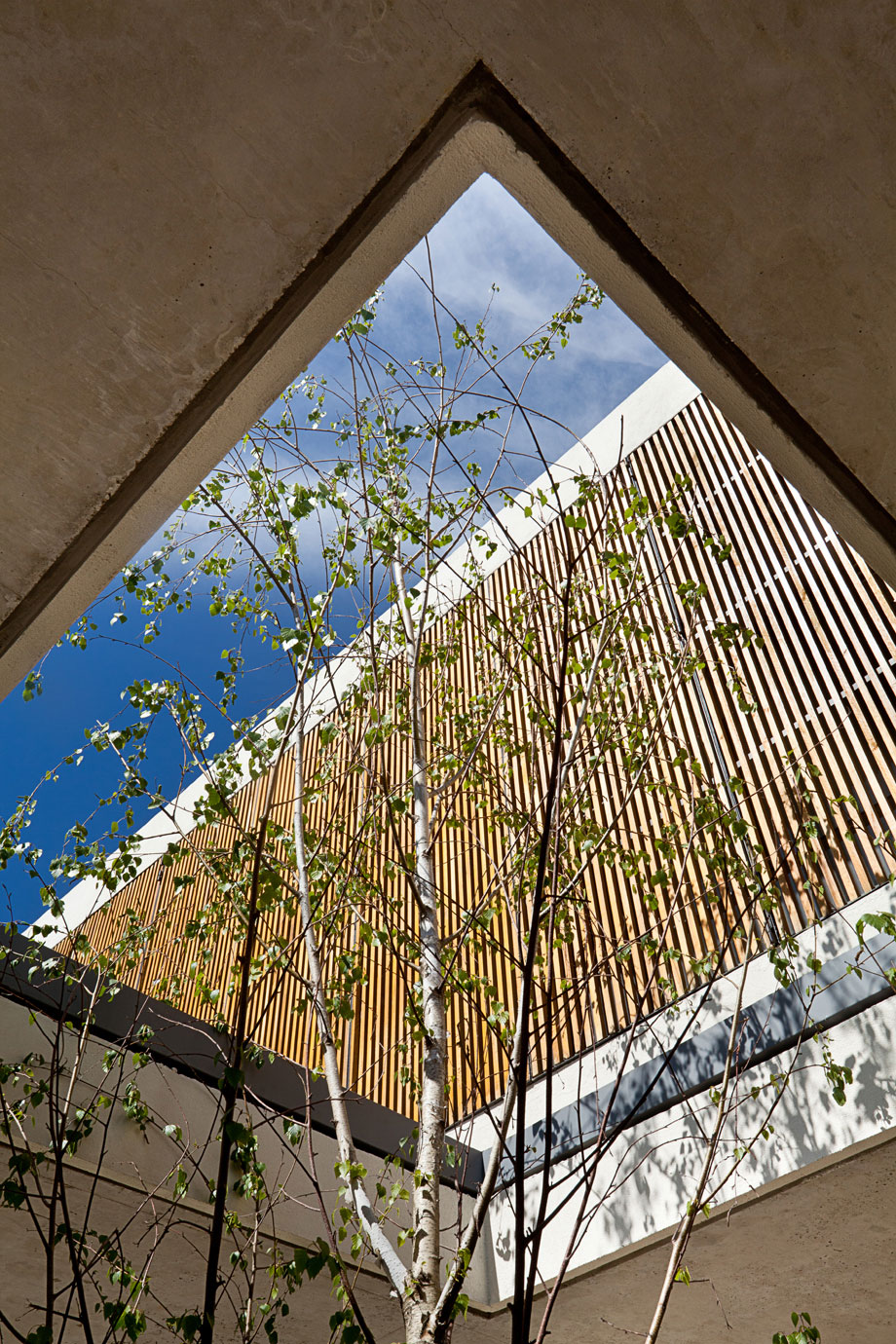 A Spacious Modern House with Cantilevered Slabs and Open Spaces in Buenos Aires by VDV ARQ (14)