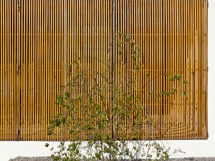 A Spacious Modern House with Cantilevered Slabs and Open Spaces in Buenos Aires by VDV ARQ (9)