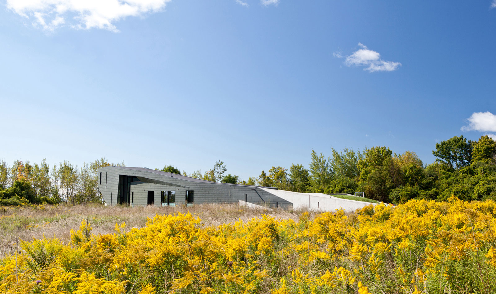 A Striking and Dramatic Lakeside House Hidden in a Dense Forest of Port Hope by Teeple Architects (1)