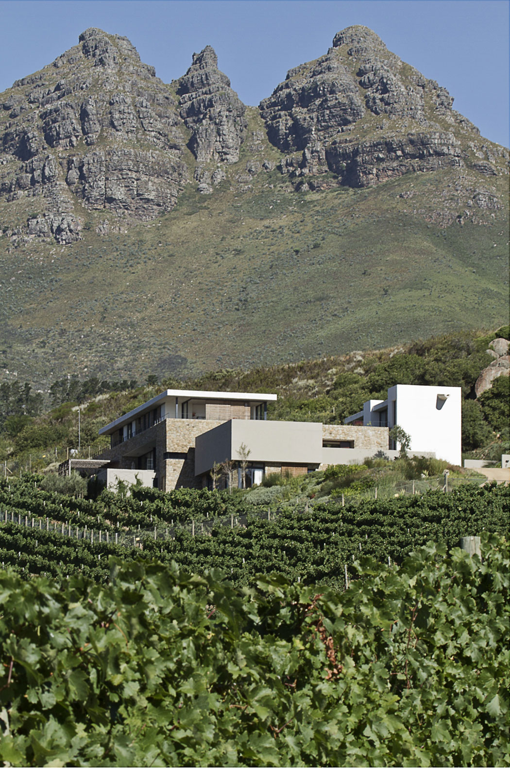 A Stunning Modern Hillside Home Nestled in the Rolling Vineyards of Stellenbosch by GASS Architecture Studios (1)