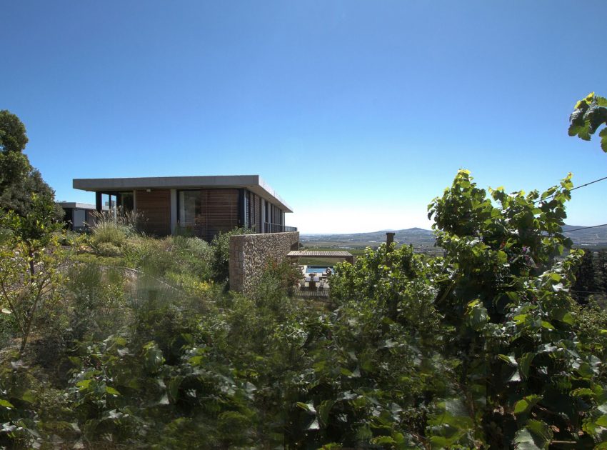 A Stunning Modern Hillside Home Nestled in the Rolling Vineyards of Stellenbosch by GASS Architecture Studios (2)