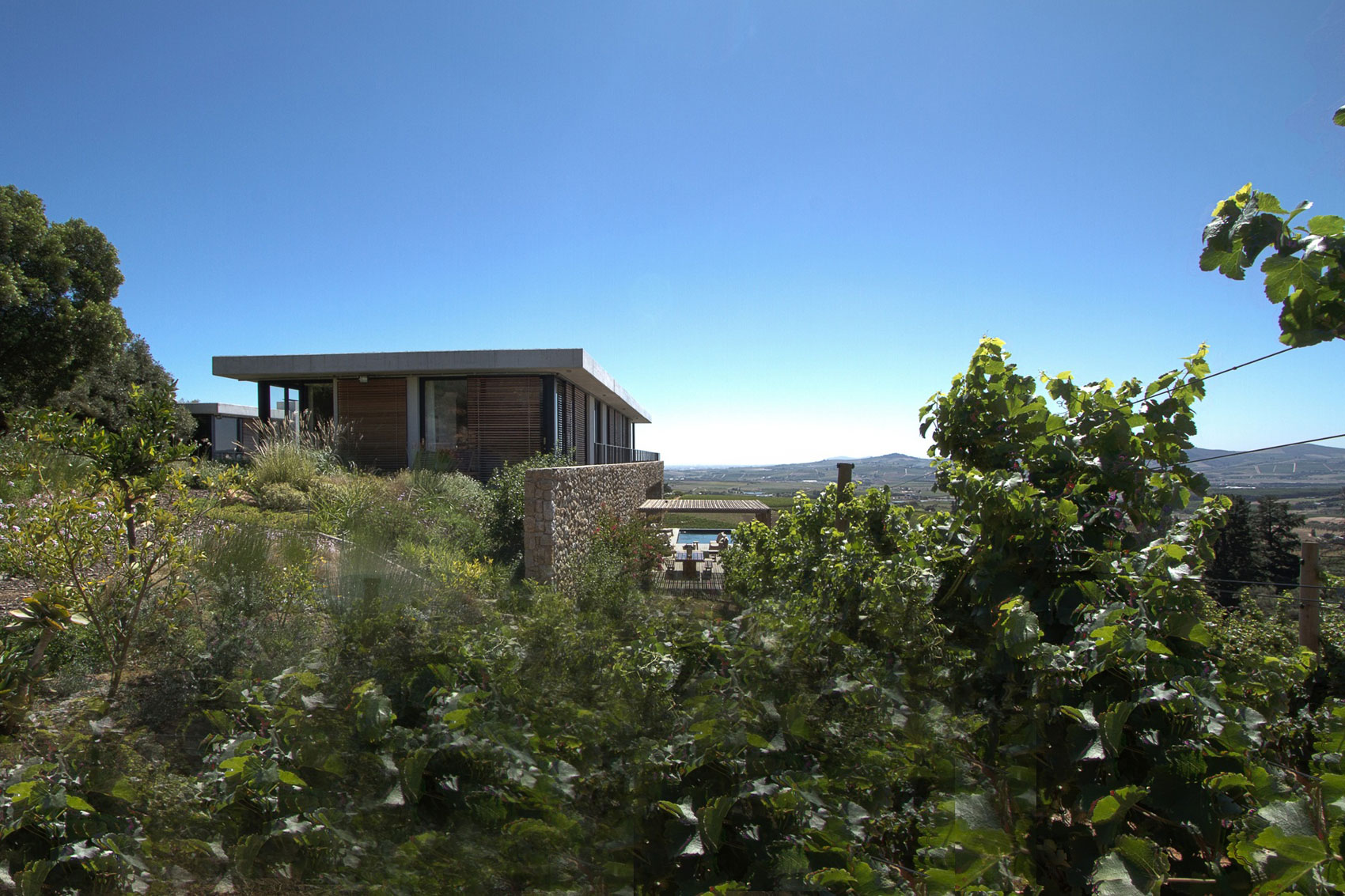 A Stunning Modern Hillside Home Nestled in the Rolling Vineyards of Stellenbosch by GASS Architecture Studios (2)
