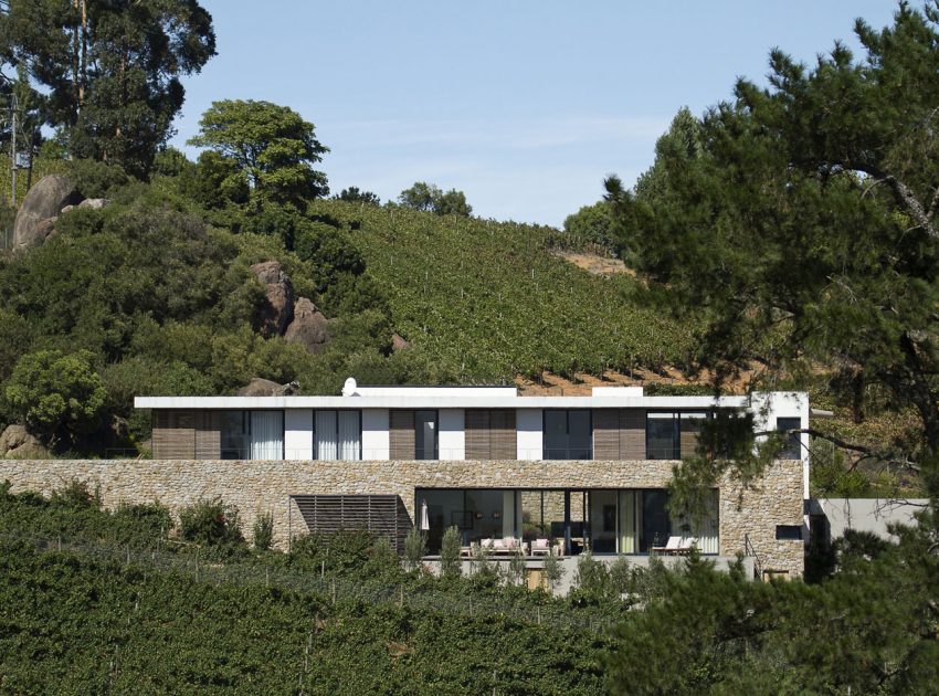 A Stunning Modern Hillside Home Nestled in the Rolling Vineyards of Stellenbosch by GASS Architecture Studios (3)