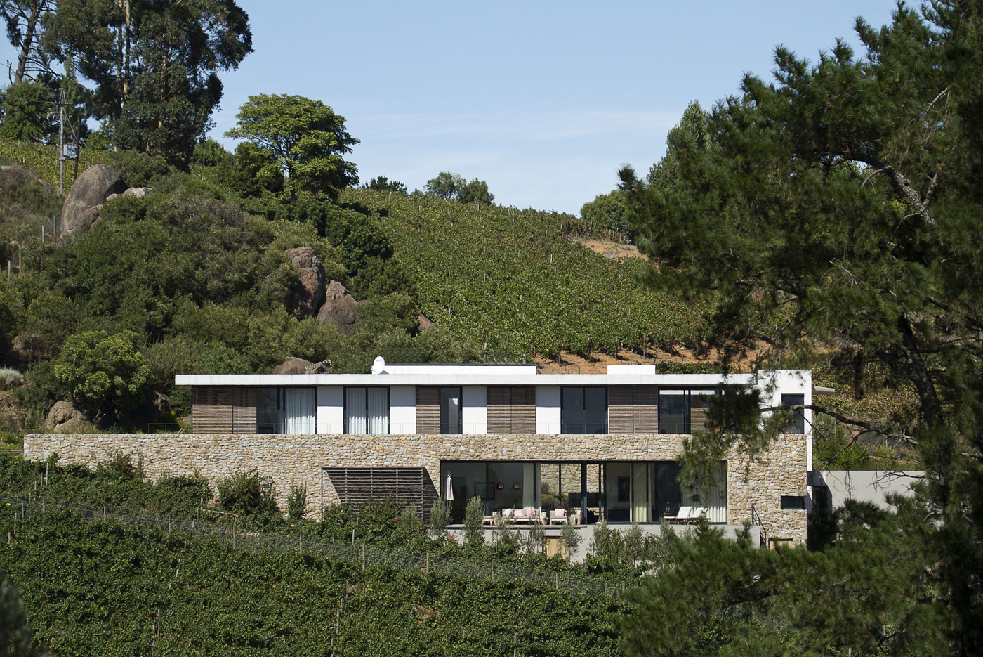 A Stunning Modern Hillside Home Nestled in the Rolling Vineyards of Stellenbosch by GASS Architecture Studios (3)
