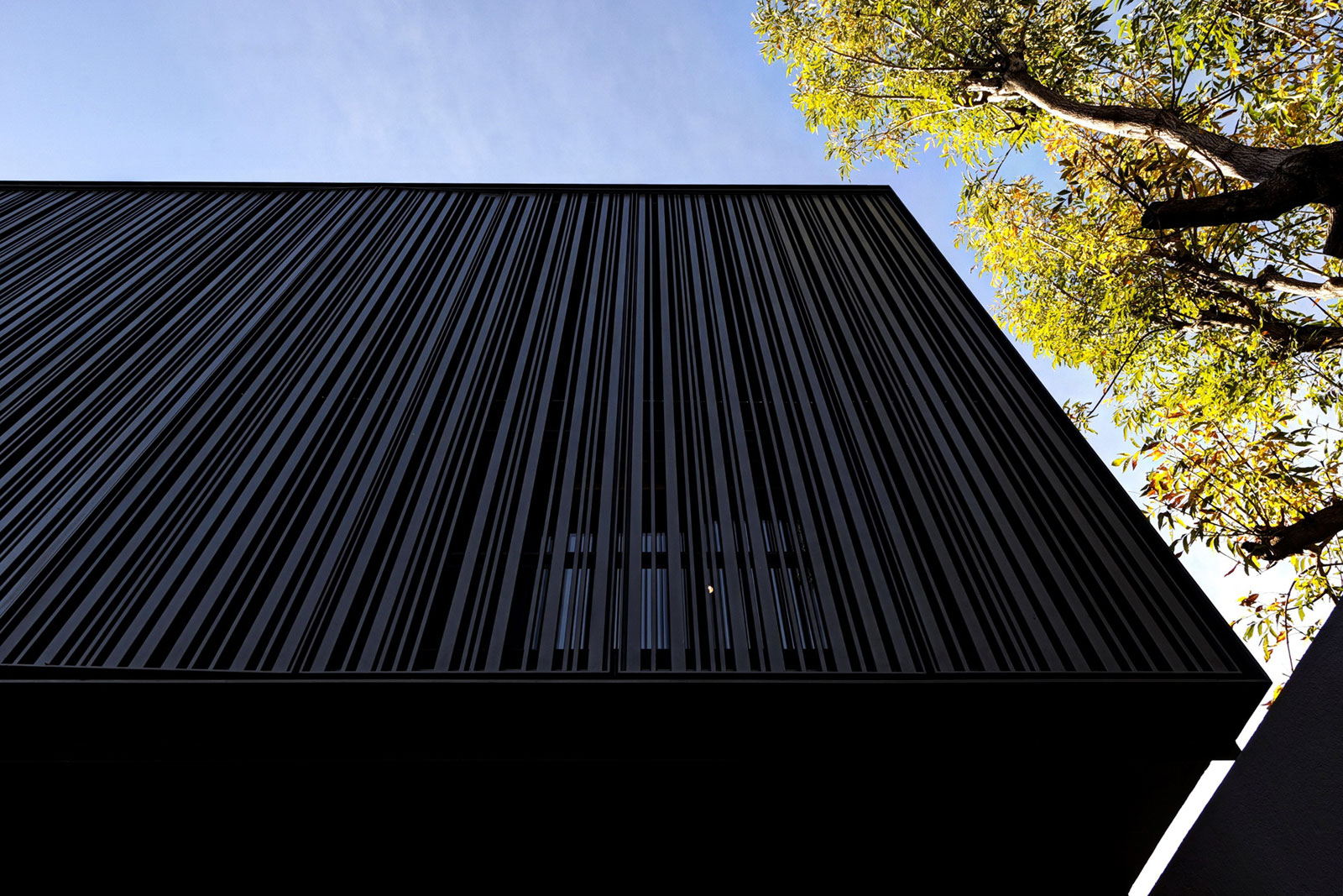 A Stunning and Luxurious Contemporary Home in Zapopan, Mexico by Elías Rizo Arquitectos (5)