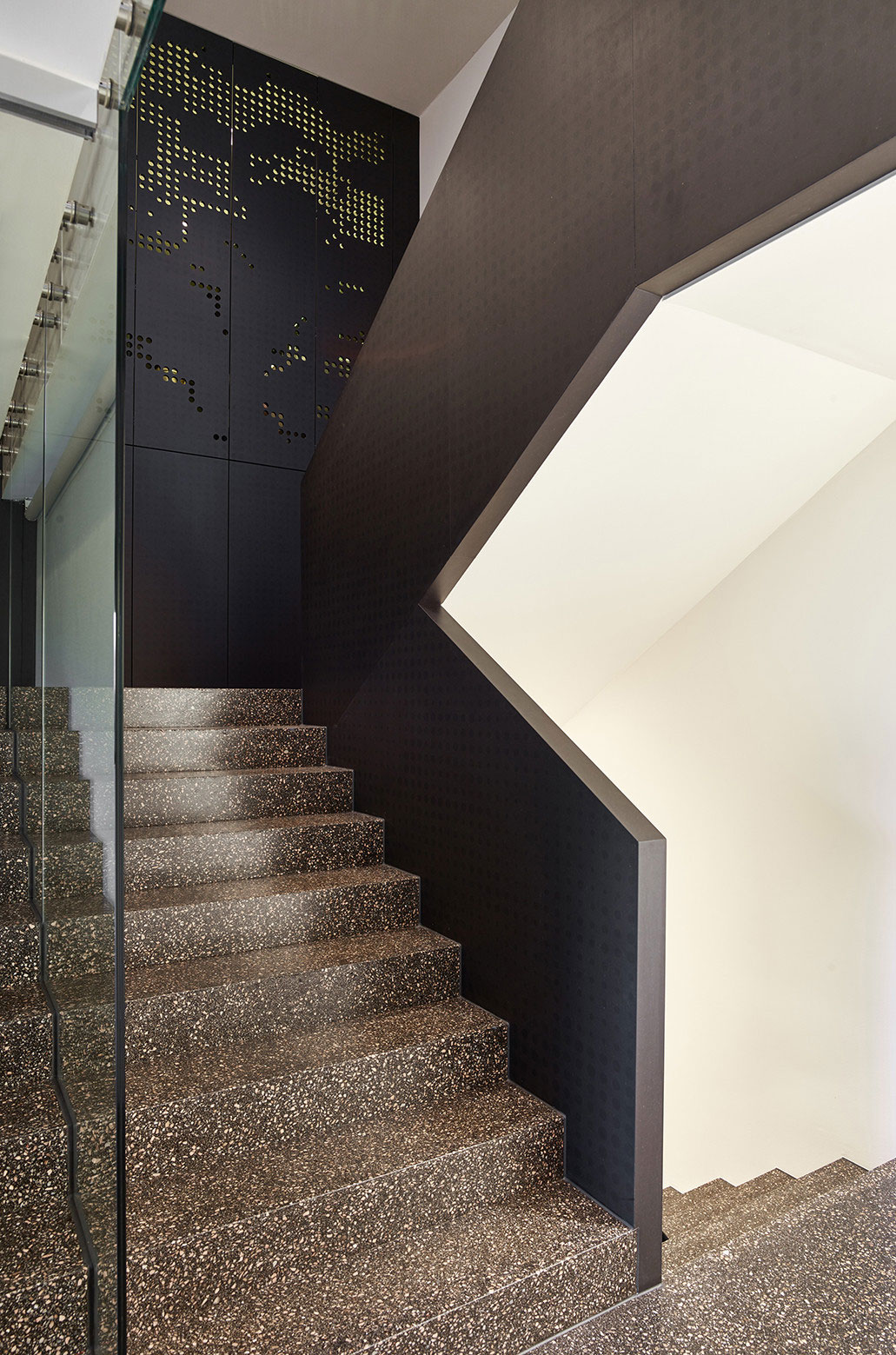 A Stylish Contemporary Home with Smart and Dynamic Façade in Linz, Austria by Archinauten (5)