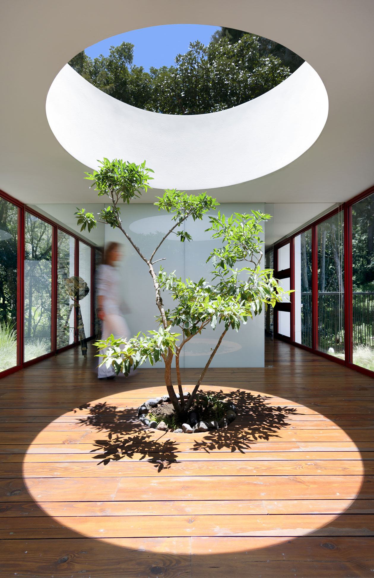 A Stylish Modern House Surrounded by Forests and Tall Trees in Guatemala City by Solis Colomer Arquitectos (7)