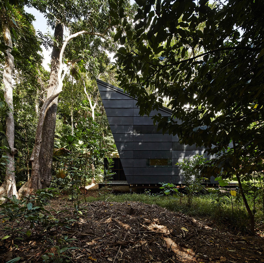 A Stylish and Eco-Friendly Home in a Tropical Rainforest of Queensland by M3 architecture (5)