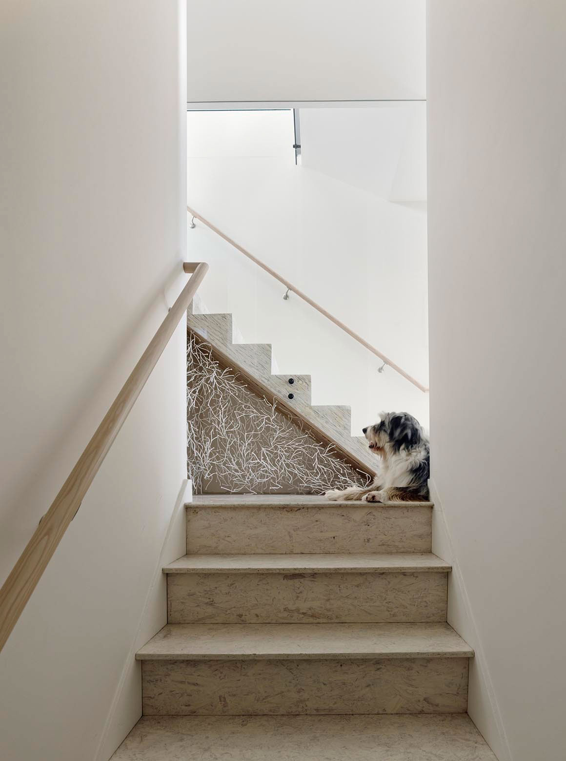 A Stylish and Playful Modern Penthouse in San Francisco by Mork Ulnes Architects (12)