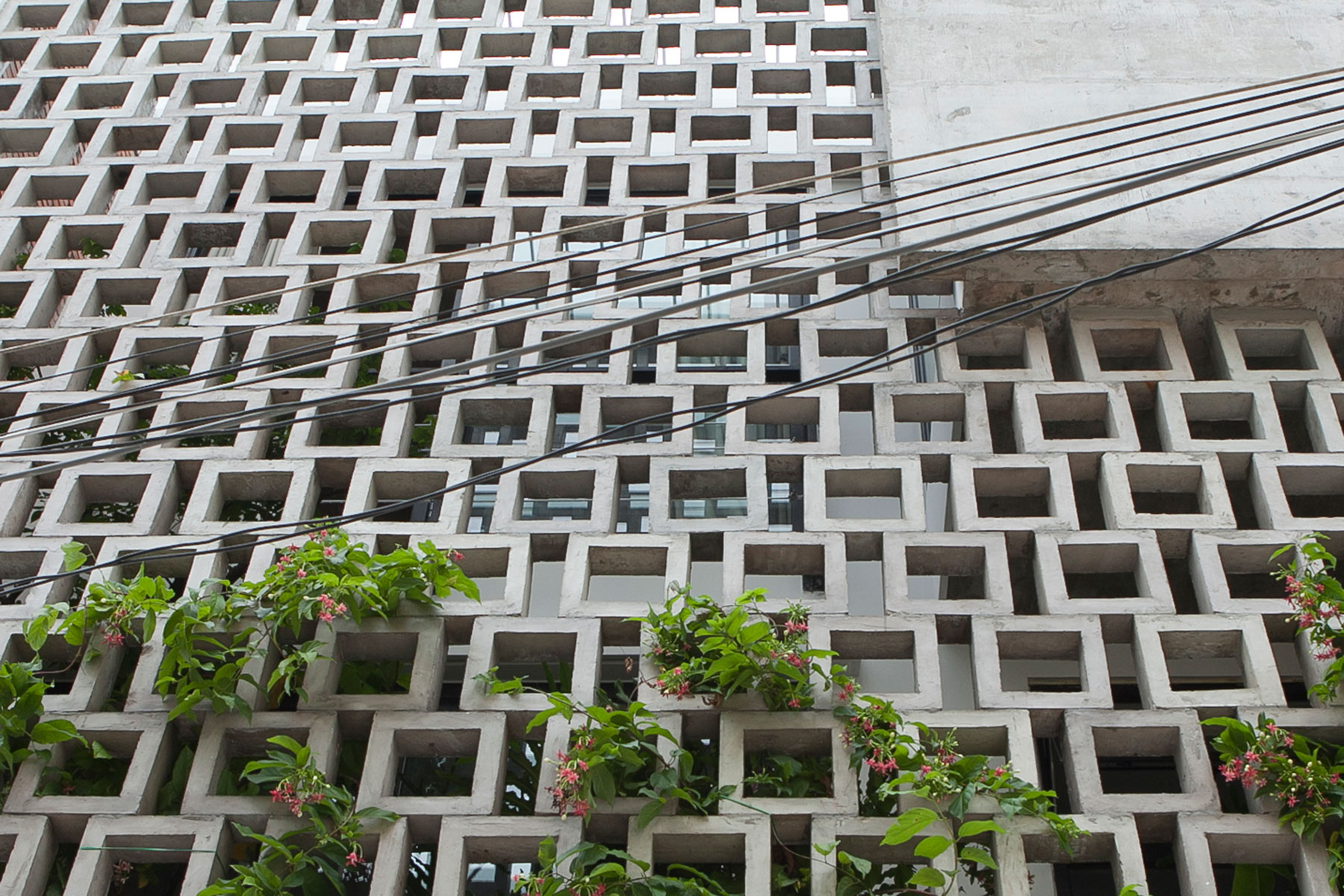 An Eco-Friendly and Comfortable Home with Contemporary Interiors in Ho Chi Minh City by I.House Architecture and Construction (2)