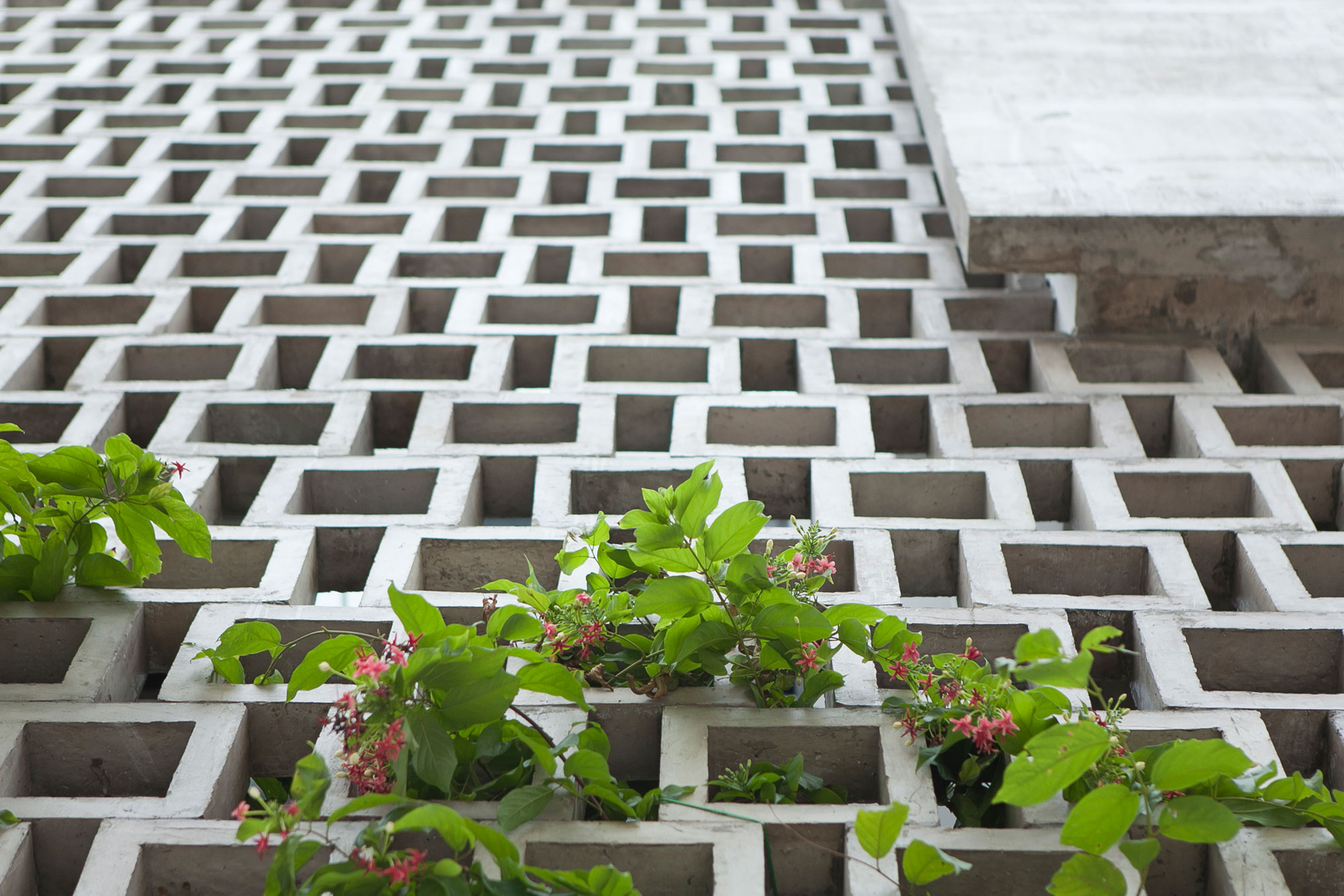 An Eco-Friendly and Comfortable Home with Contemporary Interiors in Ho Chi Minh City by I.House Architecture and Construction (3)