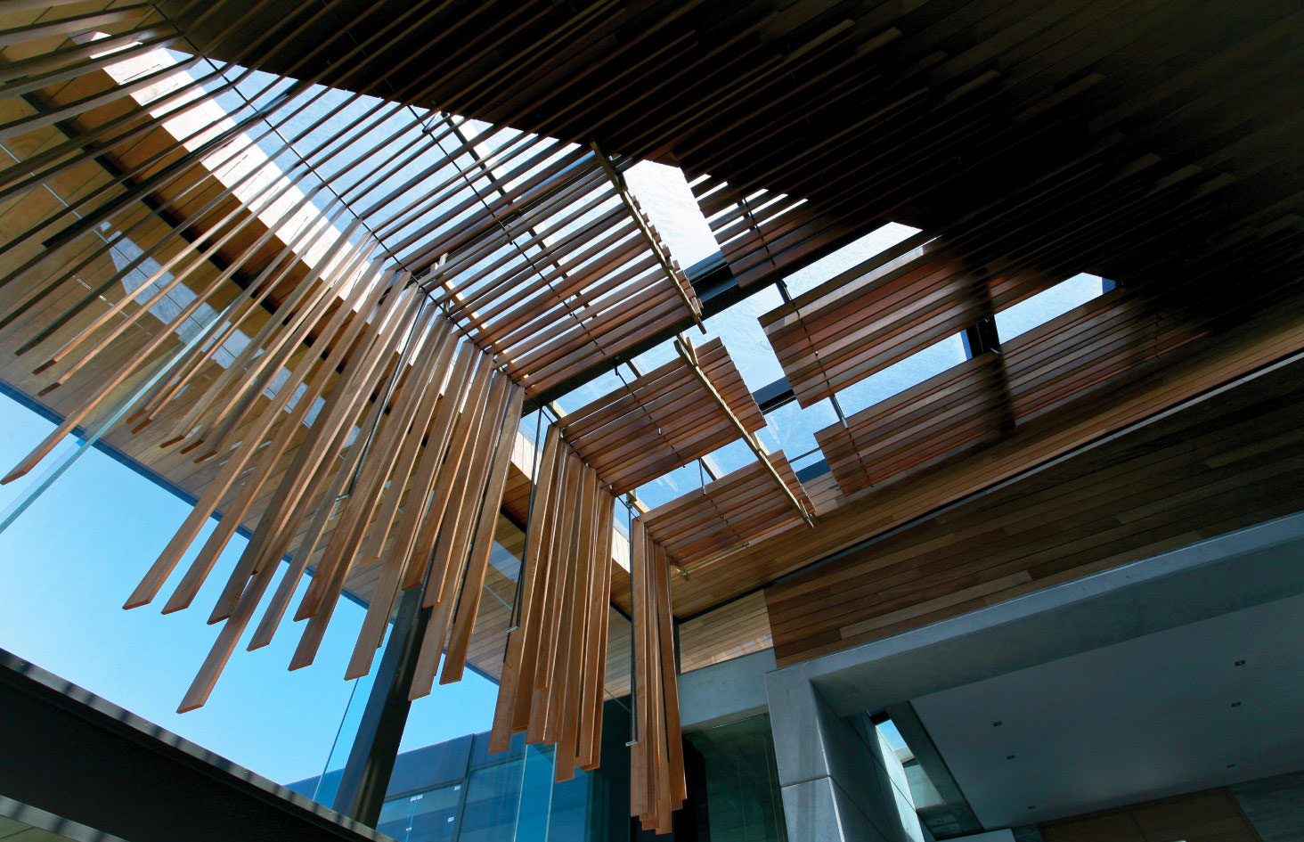 An Elegant Modern Cliff House with Breathtaking Sea Views in Knysna, South Africa by SAOTA and Antoni Associates (6)