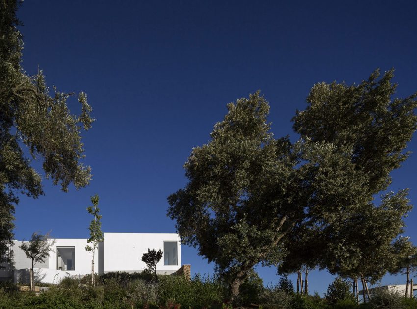 An Elegant Modern Countryside Home with Warm and Natural Atmosphere in Lagos, Portugal by Mario Martins Atelier (10)