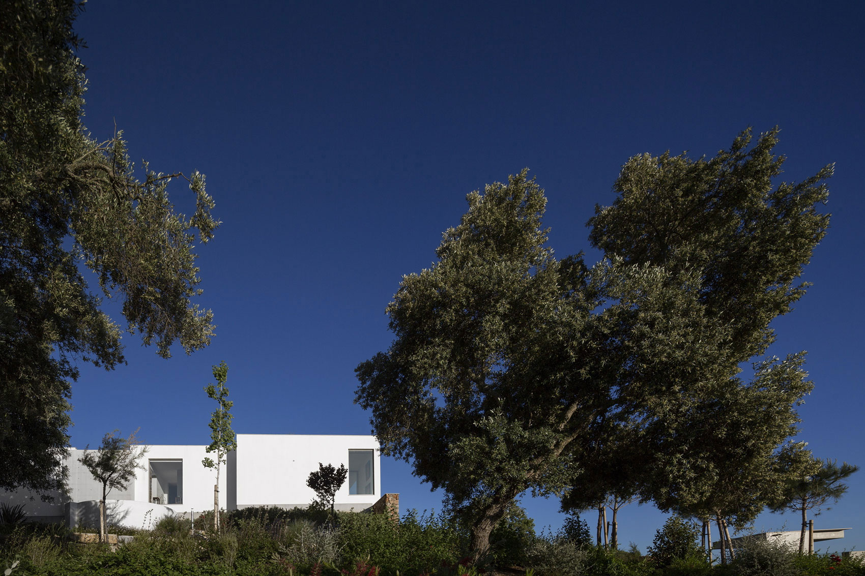 An Elegant Modern Countryside Home with Warm and Natural Atmosphere in Lagos, Portugal by Mario Martins Atelier (10)