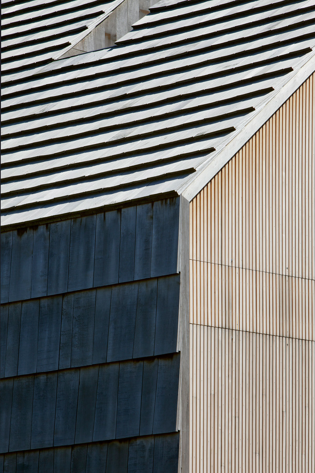 An Elegant Modern Oceanfront Home in Earthy Tones for a Young Couple in East Hampton by Bates Masi Architects (4)