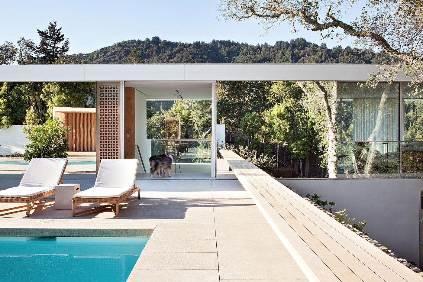 An Elegant and Unique Modern Home Nestled into the Hillside in Larkspur by Jensen Architects (10)