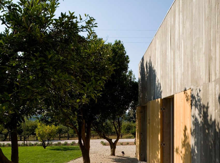 A Minimalist House with Clean Lines and Natural Light in Chamusca, Portugal by João Mendes Ribeiro (2)