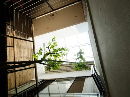 A Small Modern Home with Central Atrium and Rustic Vibe in Hoàng Văn Thái by Global Architects & Associates (4)