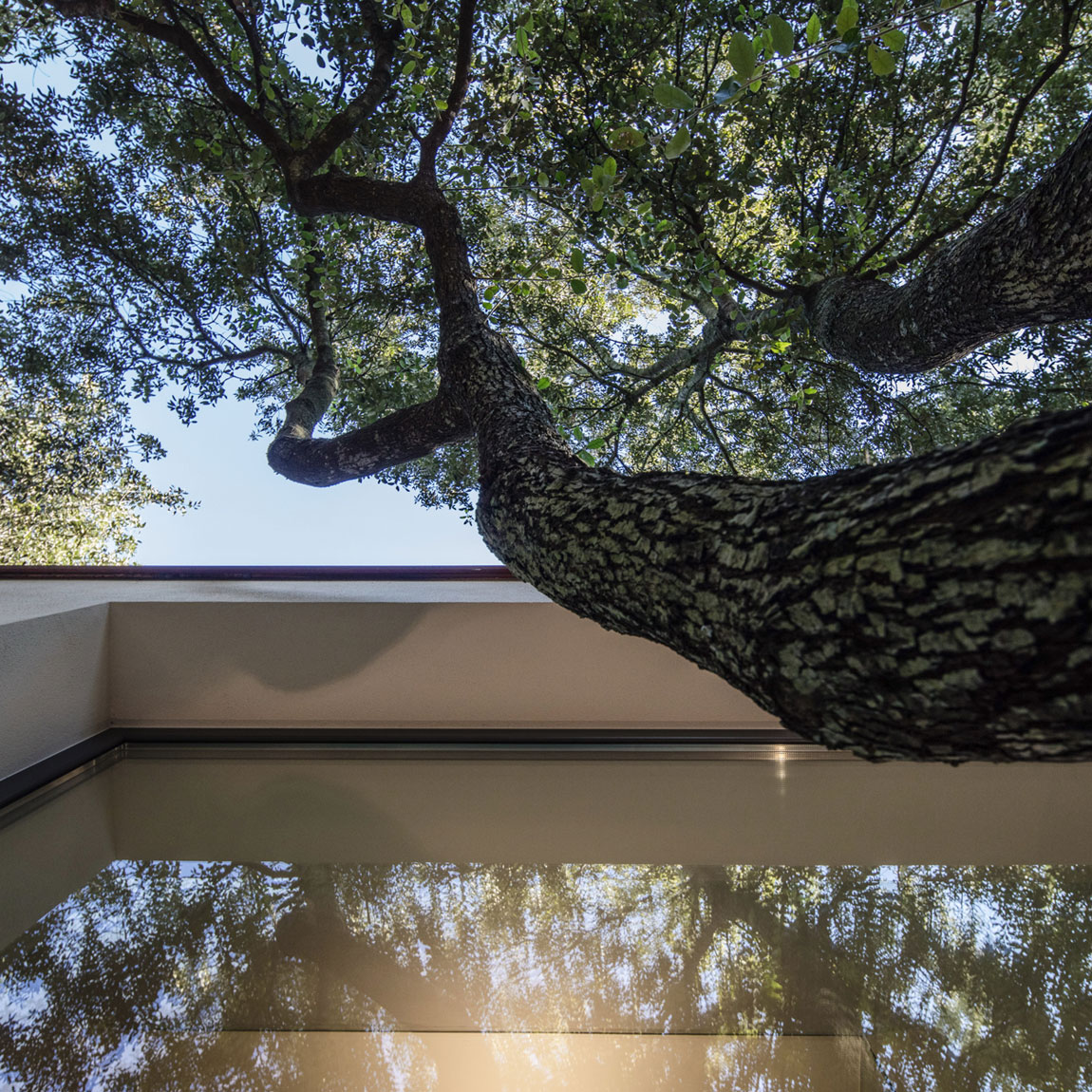 A Striking White-Themed Home in the Woods of Sassari, Italy by OFFICINA29architetti (15)