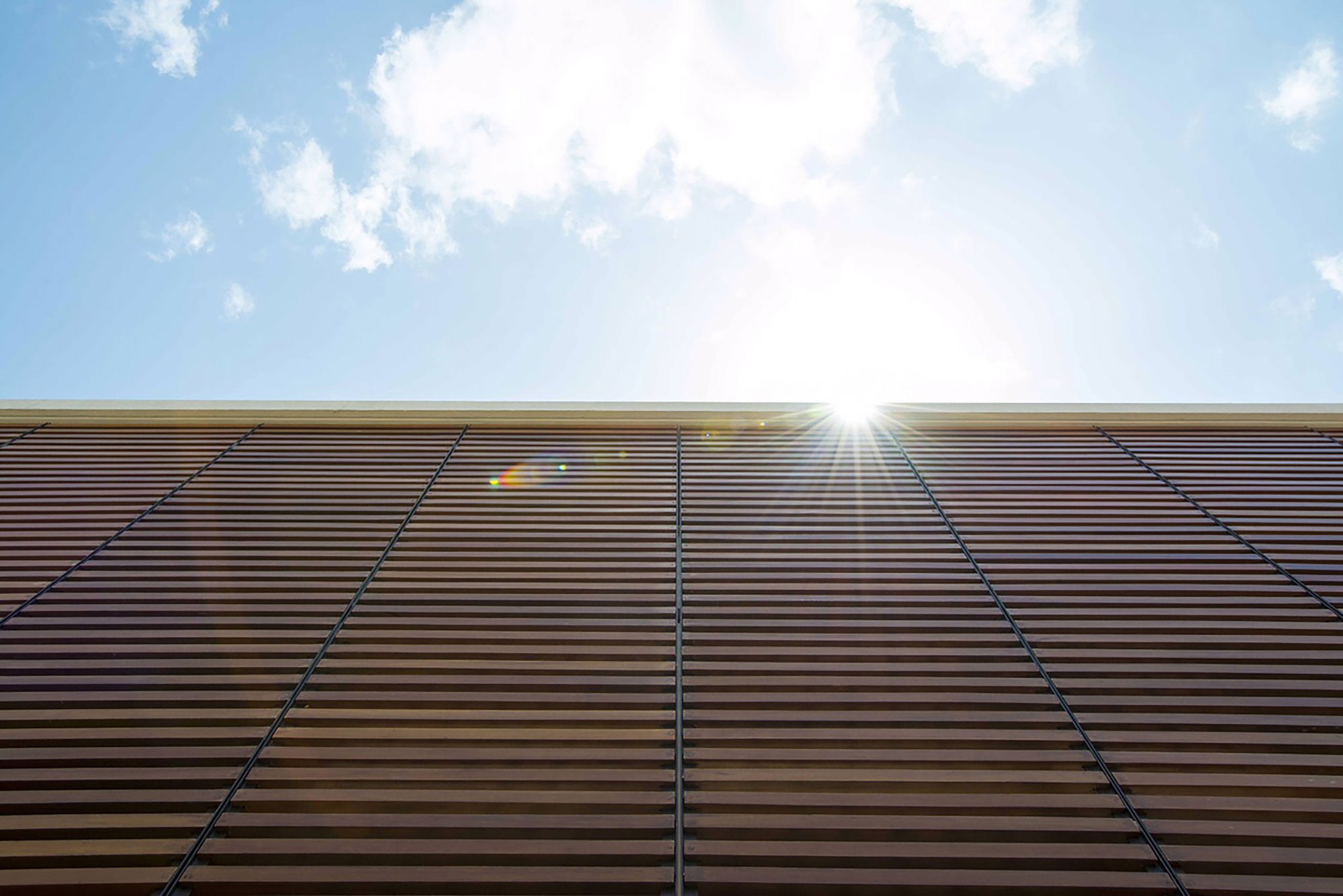 A Stunning Concrete House with Modern and Elegant Interior in Bengaluru, India by Architectural Paradigm (7)