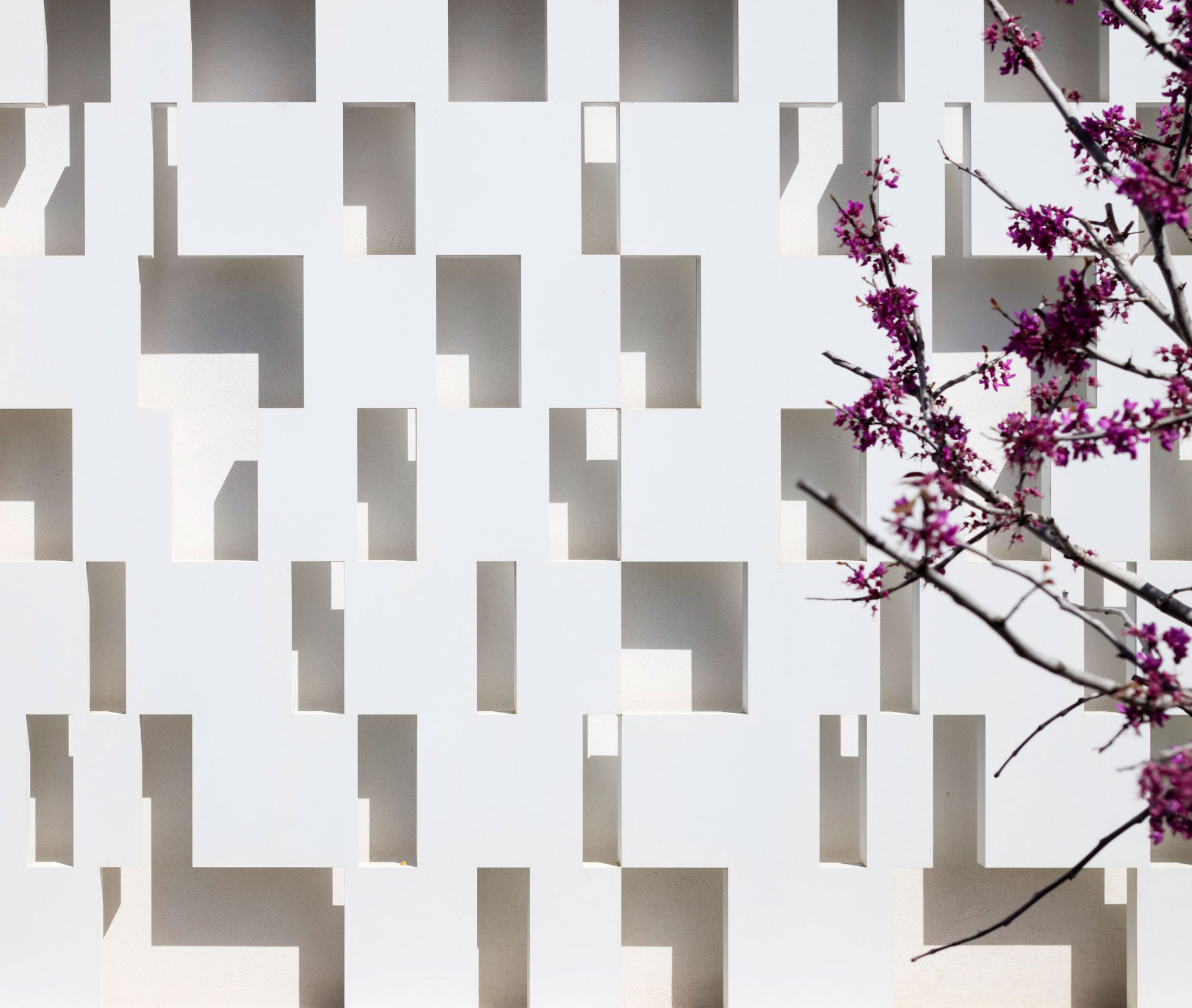 A Stunning Contemporary House with Charming Character in Tel Aviv by Pitsou Kedem Architects (10)