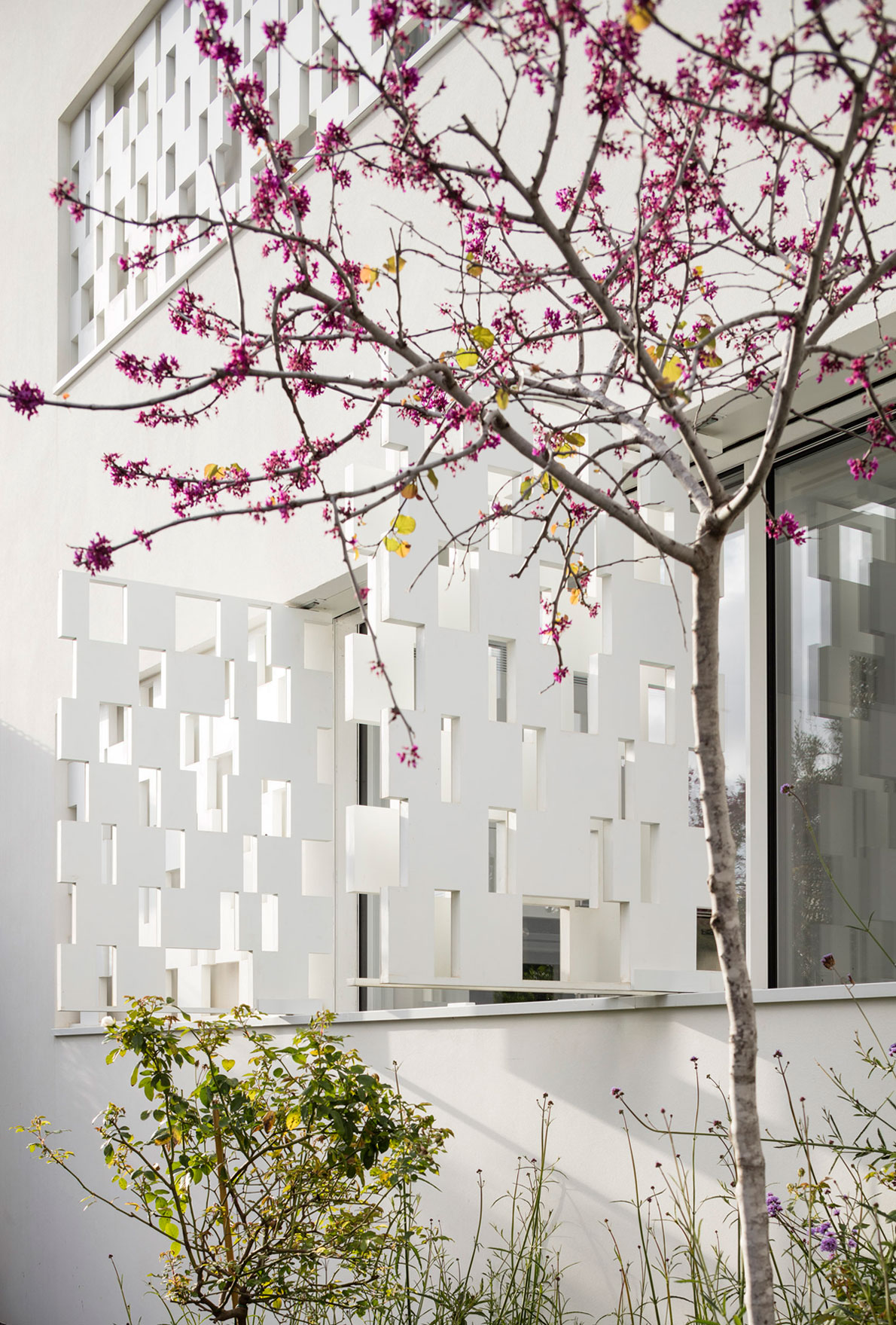 A Stunning Contemporary House with Charming Character in Tel Aviv by Pitsou Kedem Architects (7)