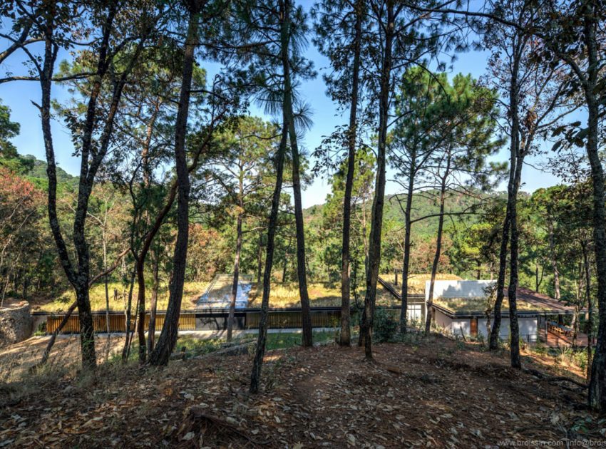 A Stunning Woodland Home Under the Trees in Avándaro, México by BROISSINarchitects (4)