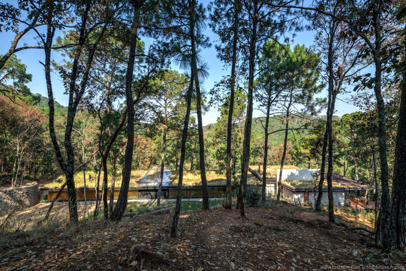 A Stunning Woodland Home Under the Trees in Avándaro, México by BROISSINarchitects (4)