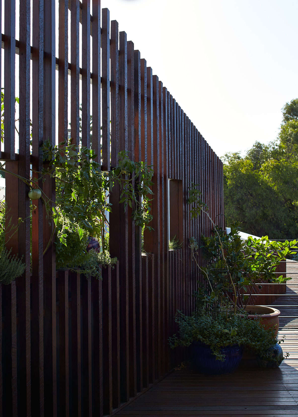 A Stylish Contemporary House with Stunning Character in Mosman Bay, Australia by Iredale Pedersen Hook Architects (14)