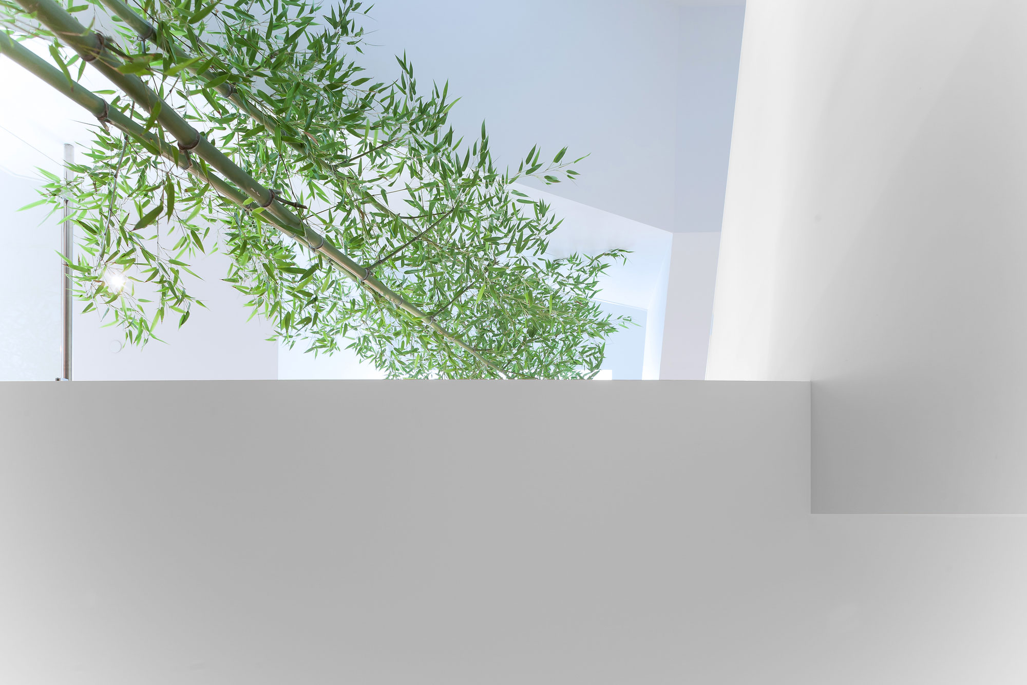 A Stylish Home with White Brick Facade and Full of Light in Vancouver, Canada by Randy Bens Architect (7)