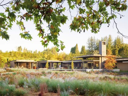 Olson Kundig Creates a Stunning and Elegant Net-Zero Home Amid a Meadow in California (1)