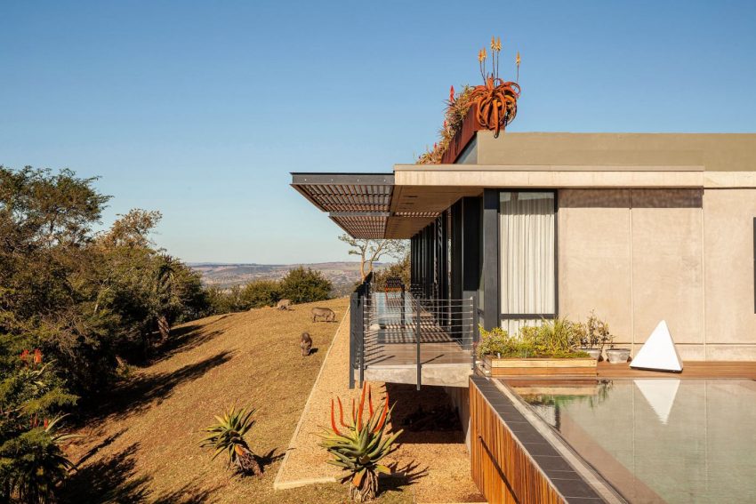 A Stunning Single-Family Home Set in the Pristine Landscape of Pietermaritzburg, South Africa by Elphick Proome Architecture (19)